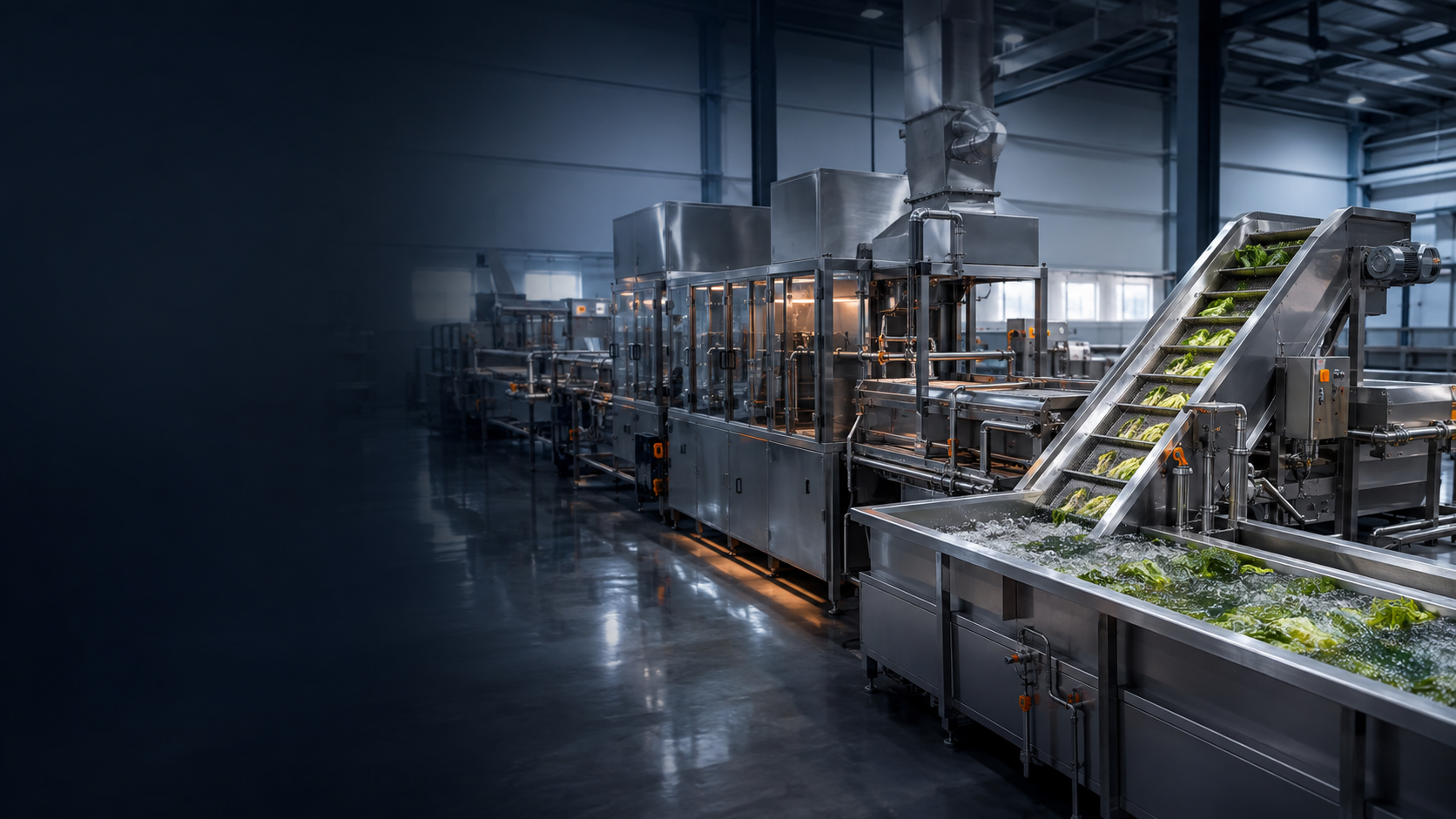Automated stainless-steel industrial food processing line